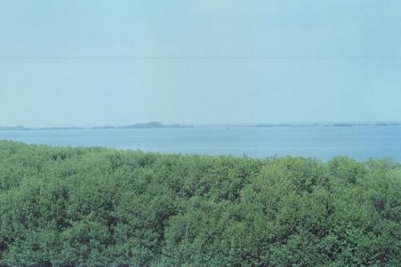 Isla Costa Rica
